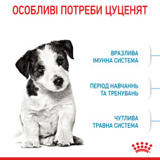 Сухий корм Royal Canin Mini Puppy 8 кг для цуценят дрібних порід від 2 до 10 місяців