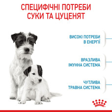Корм Royal Canin Mini Starter 8 кг для цуценят до 2-х місяців, вагітних і годуючих собак