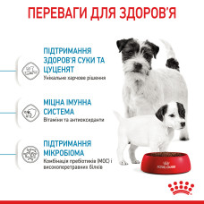 Корм Royal Canin Mini Starter 8 кг для цуценят до 2-х місяців, вагітних і годуючих собак
