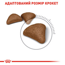 Royal Canin Hairball Care 10 кг - корм для виведення грудок вовни у котів