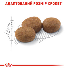 Royal Canin Sterilised 10 кг - корм для стерилізованих кішок з 1 до 7 років