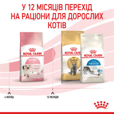 Royal Canin Kitten 10 кг корм для кошенят до 12 місяців