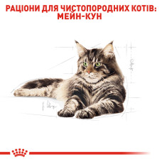 Royal Canin Maine Coon 10 кг корм для кішок поріди мейн-кун в віці старше 15 місяців