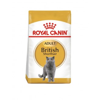Купити Royal Canin British Shorthair 10 кг корм для Британців короткошерстих від 1 року від Royal Canin — Корм для чистопородних кішок | Zooprostir