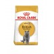 Royal Canin British Shorthair 10 кг корм для Британцев короткошерстных от 1 года