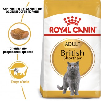 Купити Royal Canin British Shorthair 10 кг корм для Британців короткошерстих від 1 року від Royal Canin — Корм для чистопородних кішок | Zooprostir