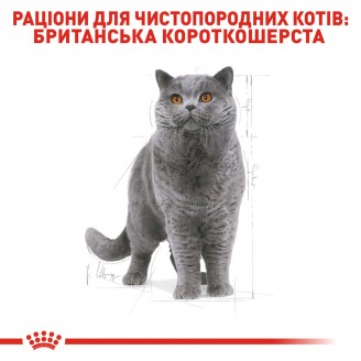 Купити Royal Canin British Shorthair 10 кг корм для Британців короткошерстих від 1 року від Royal Canin — Корм для чистопородних кішок | Zooprostir