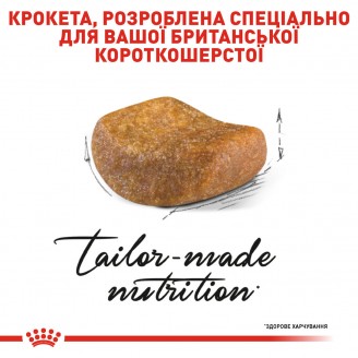 Купити Royal Canin British Shorthair 10 кг корм для Британців короткошерстих від 1 року від Royal Canin — Корм для чистопородних кішок | Zooprostir