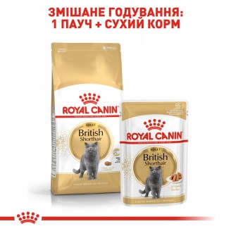 Купити Royal Canin British Shorthair 10 кг корм для Британців короткошерстих від 1 року від Royal Canin — Корм для чистопородних кішок | Zooprostir