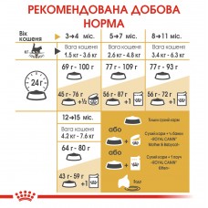 Royal Canin Maine Coon Kitten 2 кг Корм для кошенят Мейн-Кун від 3 до 15 місяців