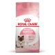 Royal Canin Mother & Babycat 10 кг сухой корм для котят до 4 месяцев
