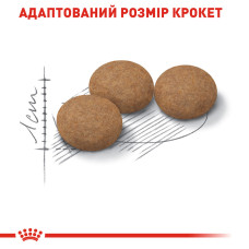 Royal Canin Sterilised 12+, 2 кг - сухий корм для стерилізованих котів від 12 років