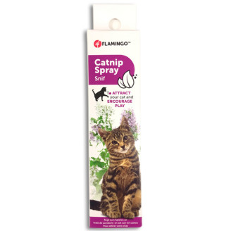 Купить Flamingo Catnip Spray кошачья мята для котов, спрей 0.025 л от — Шампуни и спреи | Zooprostir