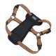 Coastal K9 Explorer Harness експлорер світловідбивна шлея з нагрудником для собак, полум'я, 20.4-45.3 кг, 2.5 х 66-96.5 см
