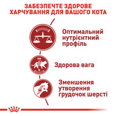 Корм для домашніх і вуличних котів Royal Canin FIT 0.4 кг