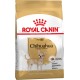 Корм для дорослих собак Royal Canin Chihuahua Adult 0.5 кг