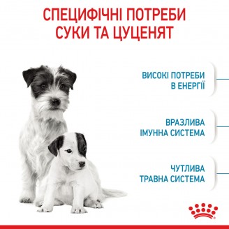 Корм для новонароджених собак Royal Canin Mini Starter 1 кг від Royal Canin