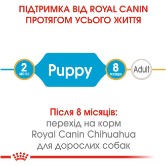 Корм для щенков Royal Canin Chihuahua Puppy 0.5 кг от Royal Canin