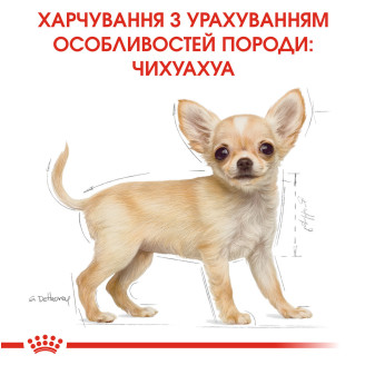 Корм для щенков Royal Canin Chihuahua Puppy 0.5 кг от Royal Canin