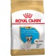 Корм для щенков Royal Canin FRENCH BULLdog Puppy 1 кг