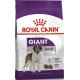 Корм Royal Canin Giant Adult 4 кг для собак гигантских пород старше 18/24 месяцев