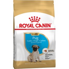 Royal Canin Pug Junior 1.5 кг - сухий корм для цуценят поріди мопс до 10 місяців