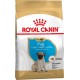 Сухой корм Royal Canin Pug Junior 1.5 кг для щенков породы Мопс до 10 месяцев