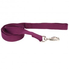 Coastal New Earth Soy dog Leash соєвий екоповідець для собак