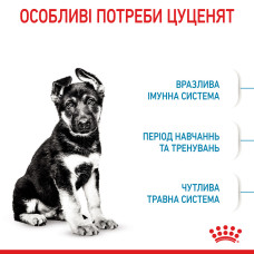 Корм Royal Canin Maxi Puppy 4 кг для цуценят Роял Канін від 2 до 15 місяців