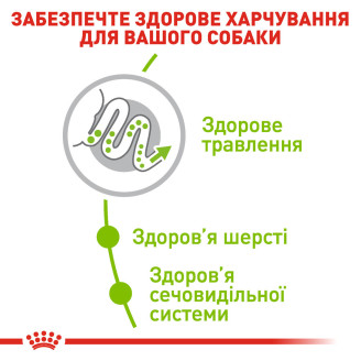Корм для взрослых собак Royal Canin X-Small Adult 0.5 кг от Royal Canin
