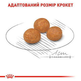 Корм для взрослых собак Royal Canin X-Small Adult 0.5 кг от Royal Canin
