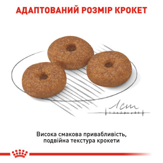 Купити Корм для зрілих собак Royal Canin Mini Ageing 12+ 0.8 кг від Royal Canin — Royal Canin Mini -для собак вагою до 10 кг | Zooprostir