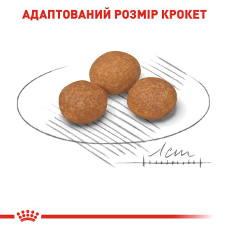 Корм для взрослых собак Royal Canin X-Small Adult 8 + 3 кг от Royal Canin