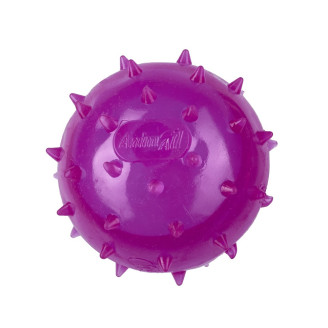 Купить AnimAll Fun мяч шипованный с пищалкой 65 мм фиолетовый от AnimAll — Разное | Zooprostir