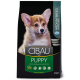 Фарма сухой корм CIBAU PUPPY MEDIUM с курицей 2,5 кг 30931