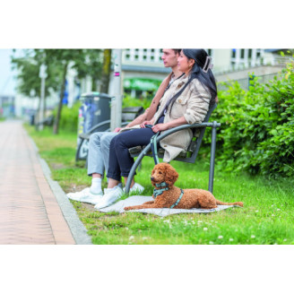 Купить Шлея Trixie CityStyle H-harness для собак хлопок L–XL 75–120 см 25 мм светло-зеленый от Trixie — Нейлоновые шлеи для собак | Zooprostir