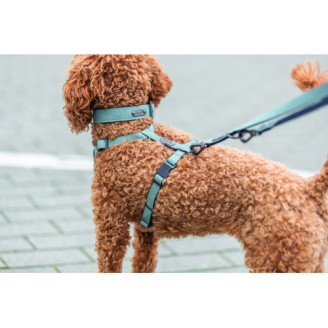Купить Шлея Trixie CityStyle H-harness для собак хлопок L–XL 75–120 см 25 мм светло-зеленый от Trixie — Нейлоновые шлеи для собак | Zooprostir