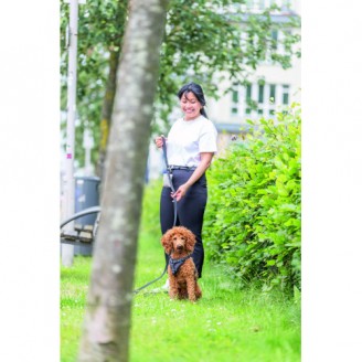 Купить Шлея Trixie CityStyle H-harness для собак хлопок XS–S 30–44 см 10 мм черный от Trixie — Нейлоновые шлеи для собак | Zooprostir