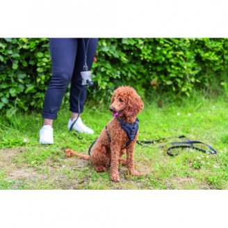 Купить Шлея Trixie CityStyle H-harness для собак хлопок XS–S 30–44 см 10 мм черный от Trixie — Нейлоновые шлеи для собак | Zooprostir