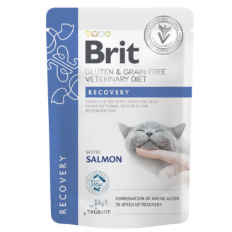 Корм влажный Brit GF VD Recovery для кошек с лососем 85 г от Brit