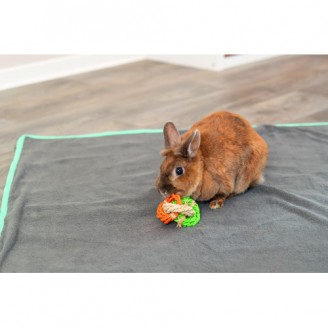 Купить Игрушка Trixie Кольца из кукурузных листьев для грызунов d 6х15 см от Trixie — Игрушки для грызунов | Zooprostir