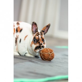 Игрушка Trixie Кокосовый мяч для грызунов d 6 см от Trixie
