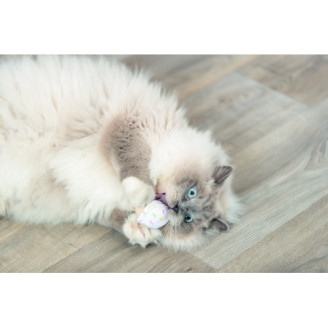 Купить Игрушка Trixie Мороженое и пирожное плюш с кошачьей мятой для кошек 7 см от Trixie — Игрушки для кошек | Zooprostir