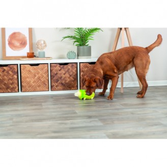 Купить Игрушка Trixie Капустная свинка латекс для собак 23 см светло-зеленая от Trixie — Игрушки из латекса | Zooprostir