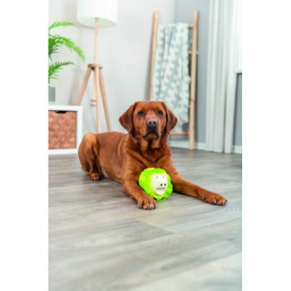 Купить Игрушка Trixie Капустная свинка латекс для собак 23 см светло-зеленая от Trixie — Игрушки из латекса | Zooprostir