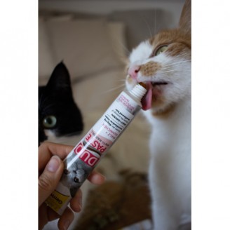 Купити Паста для котів з чутливим травленням GimCat DUO PASTE Anti-hairball malt with chicken мальт та курка, 50 г від GimCat — Вітаміни для кішок | Zooprostir