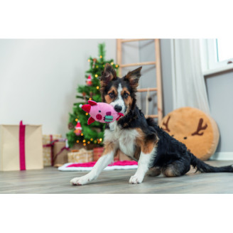 Игрушка для собак Trixie Рождественская свинка плюш 19 см от Trixie