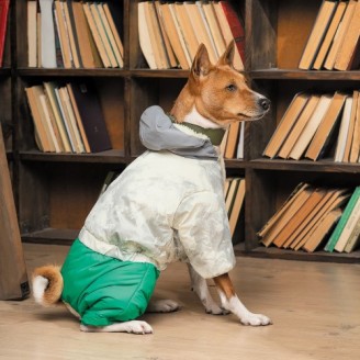 Костюм Pet Fashion Man для собак, розмір XS2, зелений від