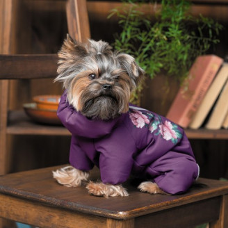 Костюм Pet Fashion Lola для девочек, размер M, сиреневый от Pet Fashion