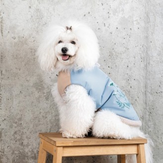 Купити Жилет Pet Fashion Kris для собак розмір S від — Одяг для собак | Zooprostir